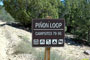 Navajo Lake SP Pinon Sign