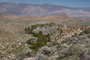 Lone Pine Overview 1