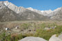Lone Pine Overview 2