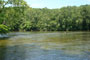 Shenandoah River SP River 004