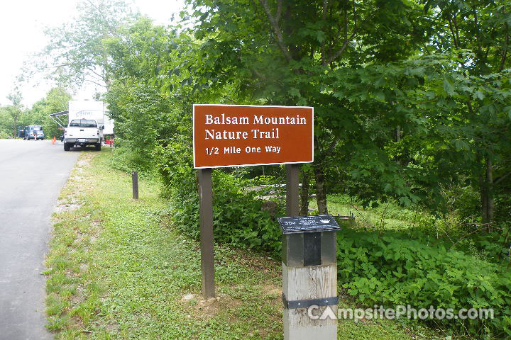 Balsam Mountain Nature Trail