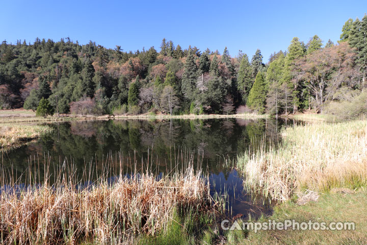 Palomar Mountain State Park Doane Valley Pond View