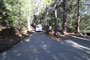 Palomar Mountain State Park Doane Valley 002