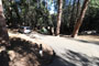 Palomar Mountain State Park Doane Valley 003