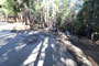 Palomar Mountain State Park Doane Valley 005