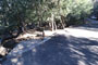 Palomar Mountain State Park Doane Valley 015