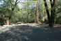 Palomar Mountain State Park Doane Valley 019