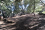 Palomar Mountain State Park Doane Valley Hike & Bike