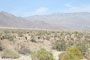 Anza-Borrego Desert View 02