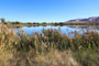 James M. Robb Colorado River State Park Fruita Pond View