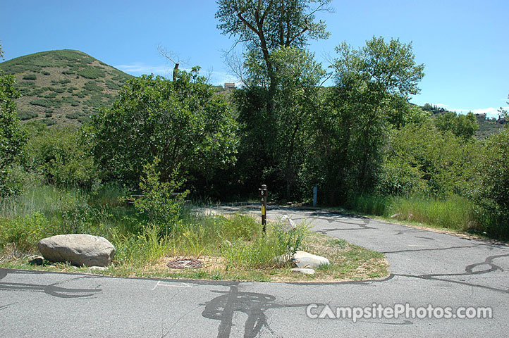 Wasatch Mountain State Park Cottonwood 008