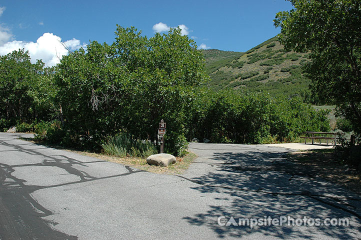 Wasatch Mountain State Park Cottonwood 031