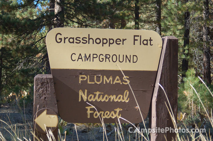 Grasshopper Flat Sign