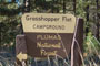 Grasshopper Flat Sign