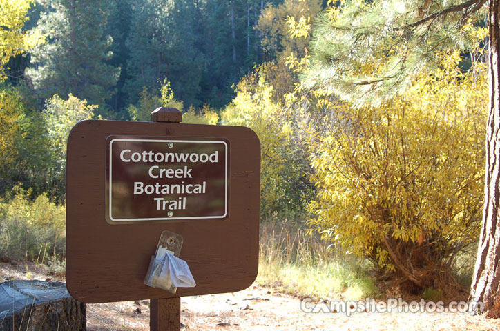 Cottonwood Creek Trail