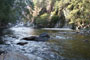 Kaweah River 2