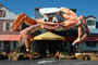 Myrtle Beach Crab