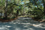 Carolina Beach State Park 032