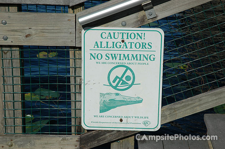 Lake Louisa State Park No Swimming