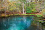 Manatee Springs State Park Divers
