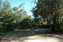 Little Manatee River State Park 004
