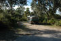Little Manatee River State Park 007