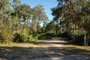 Little Manatee River State Park 008