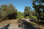 Little Manatee River State Park 010
