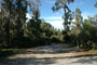 Little Manatee River State Park 014