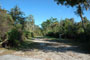 Little Manatee River State Park 015