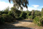 Little Manatee River State Park 018