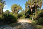 Little Manatee River State Park 024