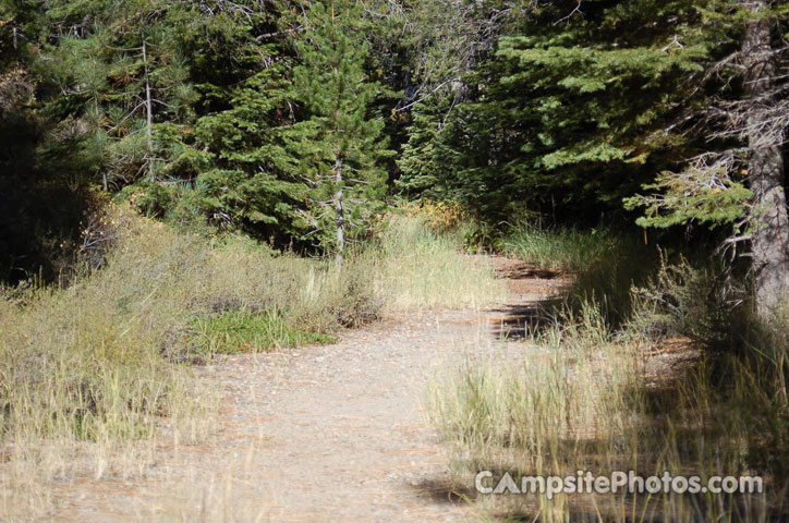 Trail along Truckee River