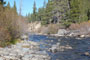 Truckee River at Goose Meadows