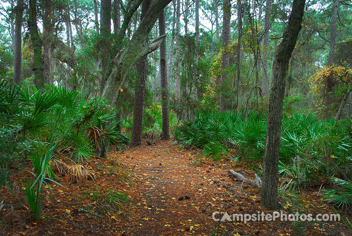 Hunting Island State Park Trail