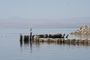 Salton Sea SRA Bombay Beach Ruins 1