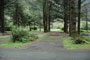 Humbug Mountain State Park 062
