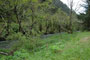 Humbug Mountain State Park Creek