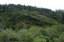 Humbug Mountain State Park View