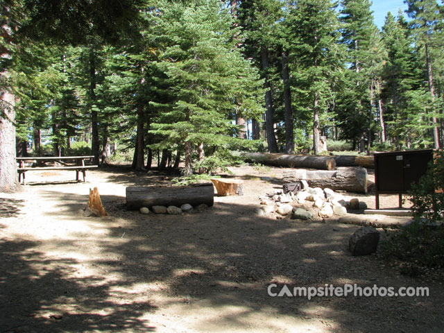 Camp Shelly 009