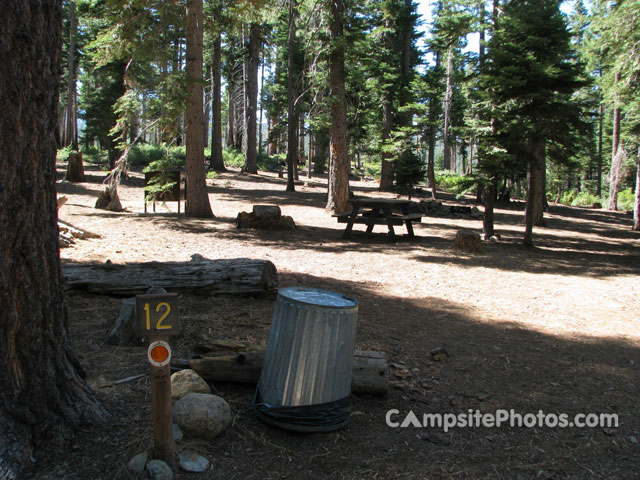 Camp shelly 012