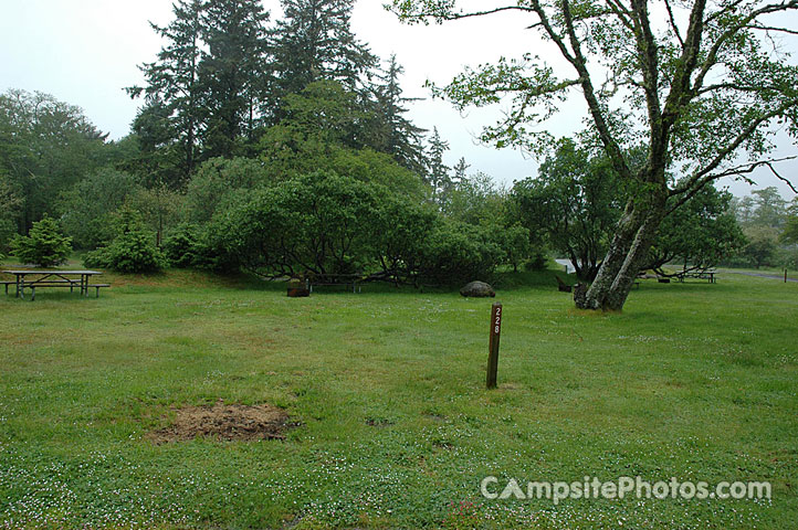 Cape Disappointment 228