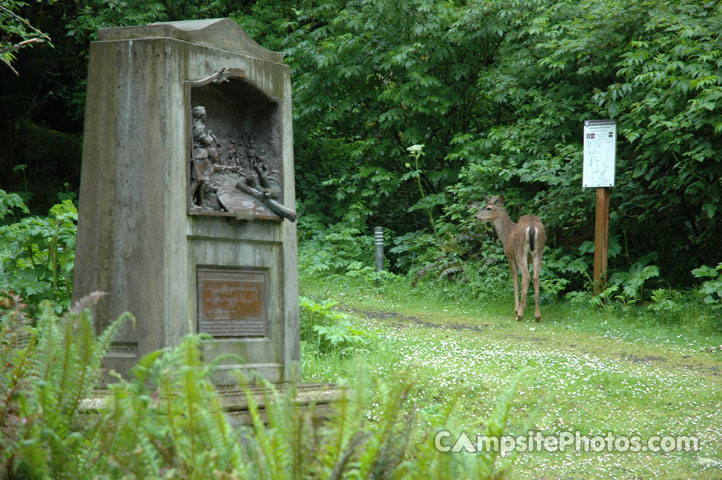 Cape Disappointment Deer
