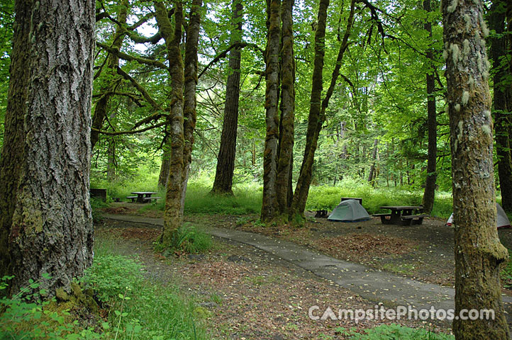 Elwha Walk-in Tent Sites
