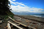 Fort Ebey Beach 2