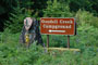 Goodell Creek Sign