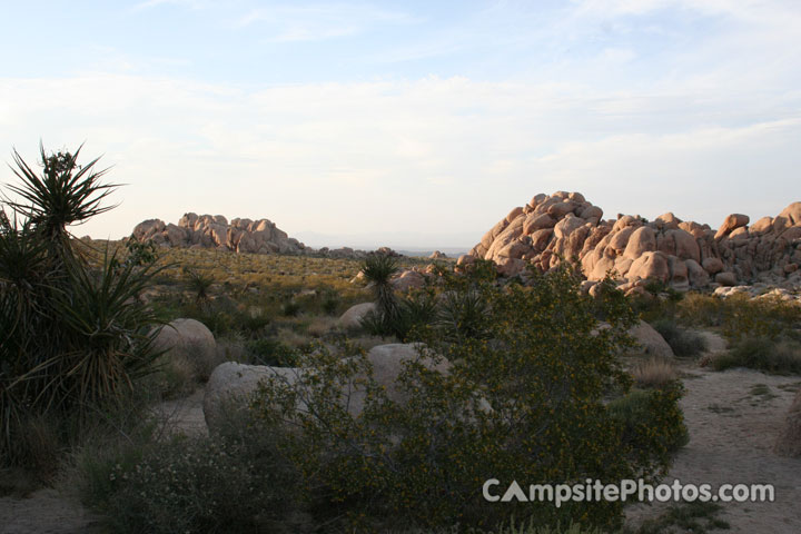Joshua Tree National Park Indian Cove View