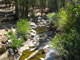 Grover Hot Springs Creek View