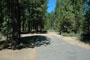  LaPine State Park 112