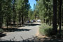 LaPine State Park 122